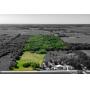 Caldwell County Missouri Land Auction
