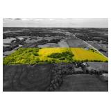 81+/- Acres Crop Land, Hay Fields, Timber
