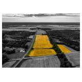 45+/- Acres Row Crop, Stone House Creek