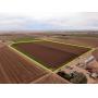 55+/- Acres Productive Irrigated Cropland, Weld Co