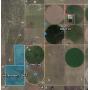 583 +/- Irrigated Cropland Acres