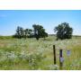 275 +/- Acres Native Grass | CRP Kiowa County, KS