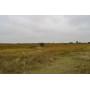 Farm 1 - 240 +/- Acres Cropland and Native Grass