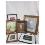 BIRD PICTURES & MORE