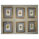 VINTAGE SET OF 6 PRINTS FRAMED & MATTED MUSHROOMS