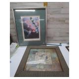 BIRD PICTURES HUMMINGBIRD