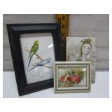 FRAMED PICTURE OF BIRDS