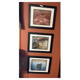3 Framed Photos