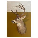Buck Mount