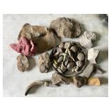 Fossil Bucket