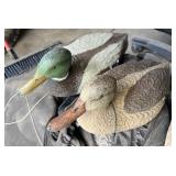 16 Floating Mallard Decoys