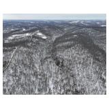 Tract 8 - 202ï¿½ Acres