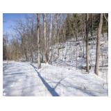 Tract 17 - 137ï¿½ Acres