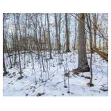 Tract 16 - 206ï¿½ Acres