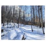 Tract 15 - 141ï¿½ Acres