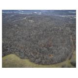 Tract 14 - 126ï¿½  Acres