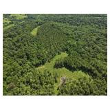 Tract 4 104.23 acres