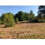 23.96 Acres Maury County 