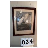 framed vintage print of "Snowy Heron or White