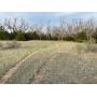 Tract 1- 118+ Acres of Woodward Co. Land