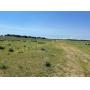 Tract 1- 320 Acres +/-