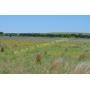 TRACT 1- 160 Acres