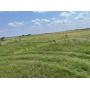 160± Acres in the NW/4 of Sec 24 T21N R12 WIM