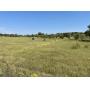 Tract 1- Home & 67+/- Acres