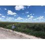 320 Acres of Good Native Grass!