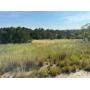 Tract 1 - 356.3± Acres, Woodward Co.