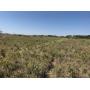 Tract 1- 160+ Acres of Native Grass