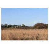 160± Acre Tract