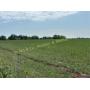 McFadin Land Auction