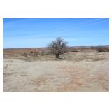 Guthrie Land Auction