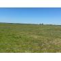 Jennifer Small Land Auction