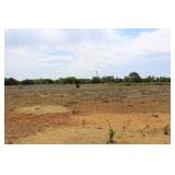 Stewart Land Auction