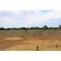 Stewart Land Auction