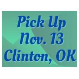 Pick Up in Clinton on Nov. 13