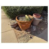 Assorted Clay and Plastic Planters