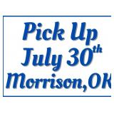Pick Up in Morrison, OK