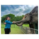 Breakfast with the Elephants Getaway Experience