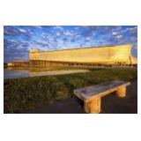 See Noah