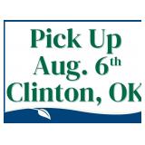 Pick Up in Clinton, OK