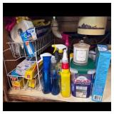 Assorted Cleaning Supplies