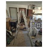 Werner 6 ft. Ladder & Step Stool