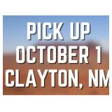 Pick Up in Clayton, NM