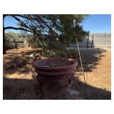 Outdoor Planter