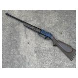 Daisy BB Gun
