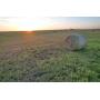 ±960 Acres Western Oklahoma Land for Sale