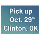 Pick Up in Clinton, OK